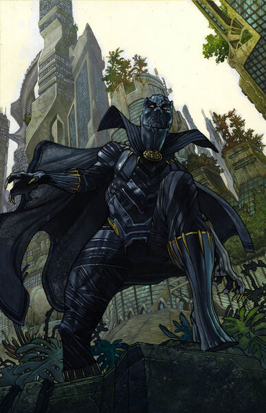 File:BlackPantherWorldOfWakandaV1-1FriedPieTextless.jpg