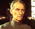 Old tarkin.jpg