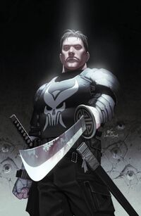 Punisher (Character) - Giant Bomb