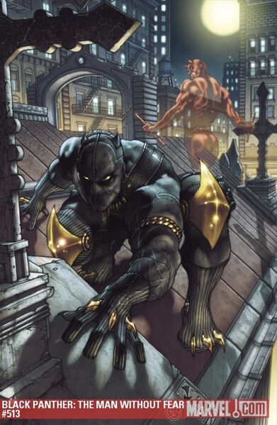 File:BlackPantherTheManWithoutFearV1-513Textless.jpg
